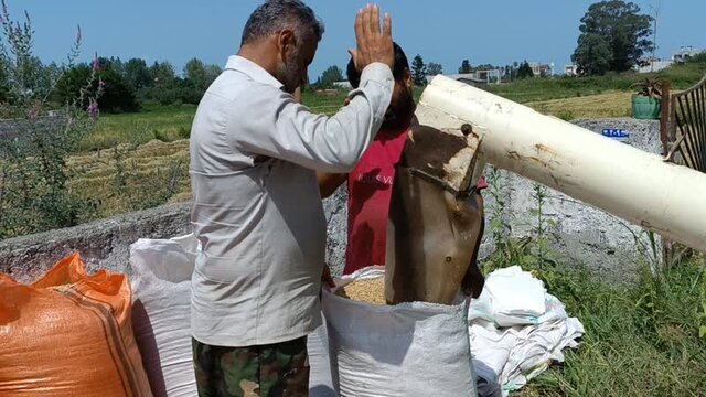 رنج برنجی که روی دست ماند