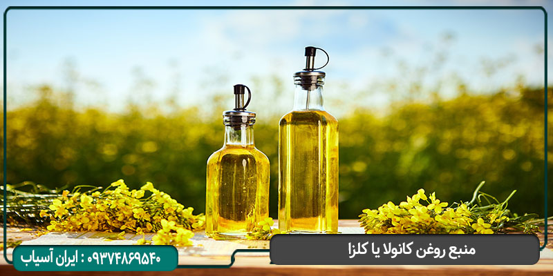 روغن کانولا یا کلزا چیست؟