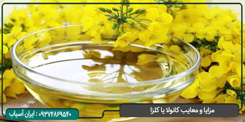 مزایا و معایب روغن کانولا