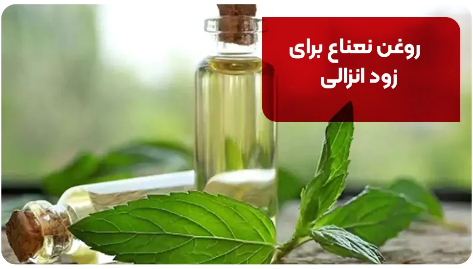 روغن نعناع برای زود انزالی