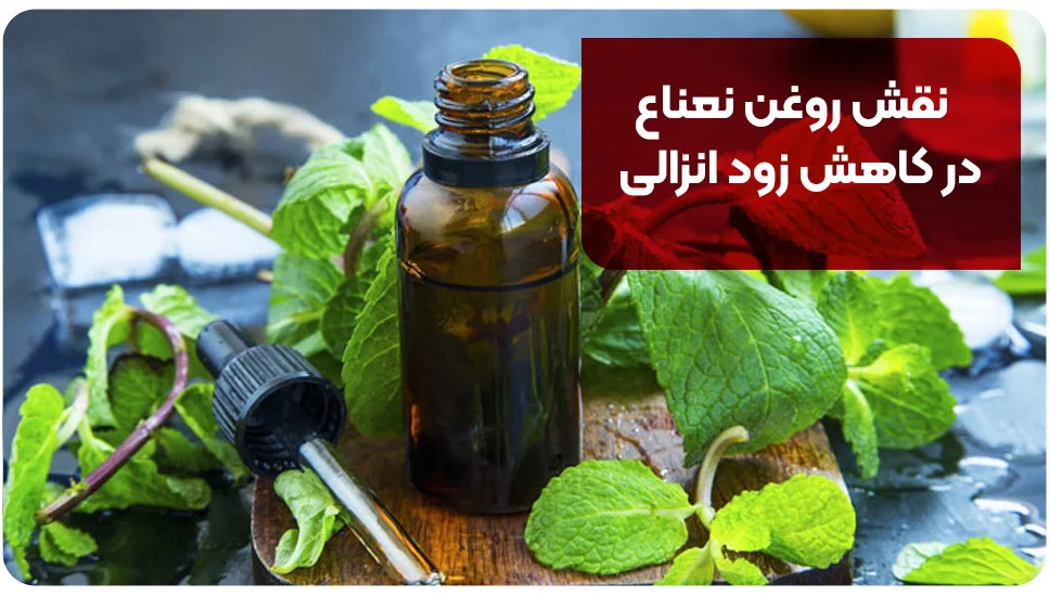 نقش روغن نعناع در کاهش زود انزالی