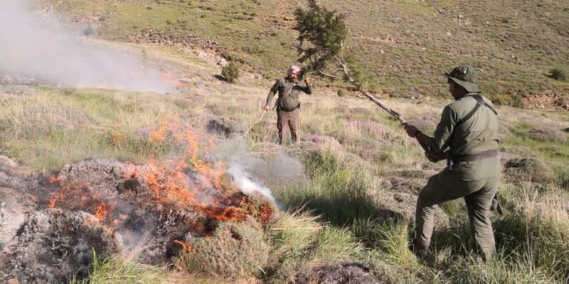 بی احتیاطی گردشگران، ۲.۵ هکتار از مراتع قوچان را به آتش کشاند