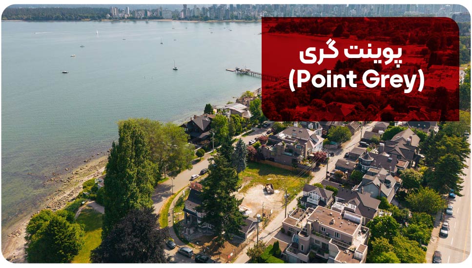 پوینت گری (Point Grey)