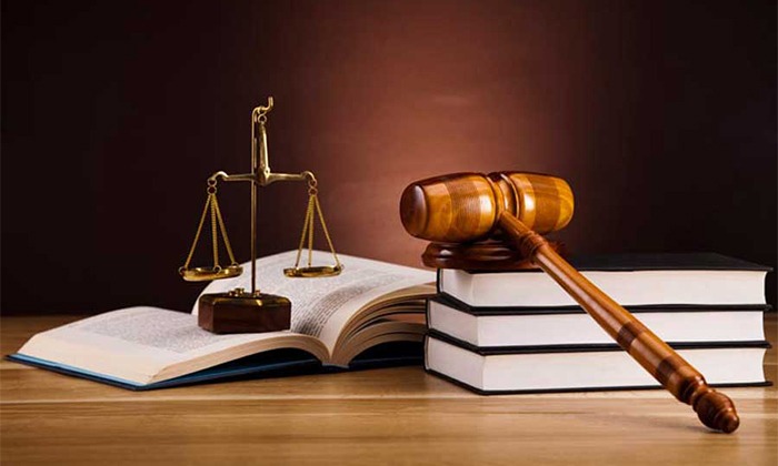 ثبت شرکت یا فعالیت آزاد؟ کدام مسیر برای کسب و کار شما بهتر است؟