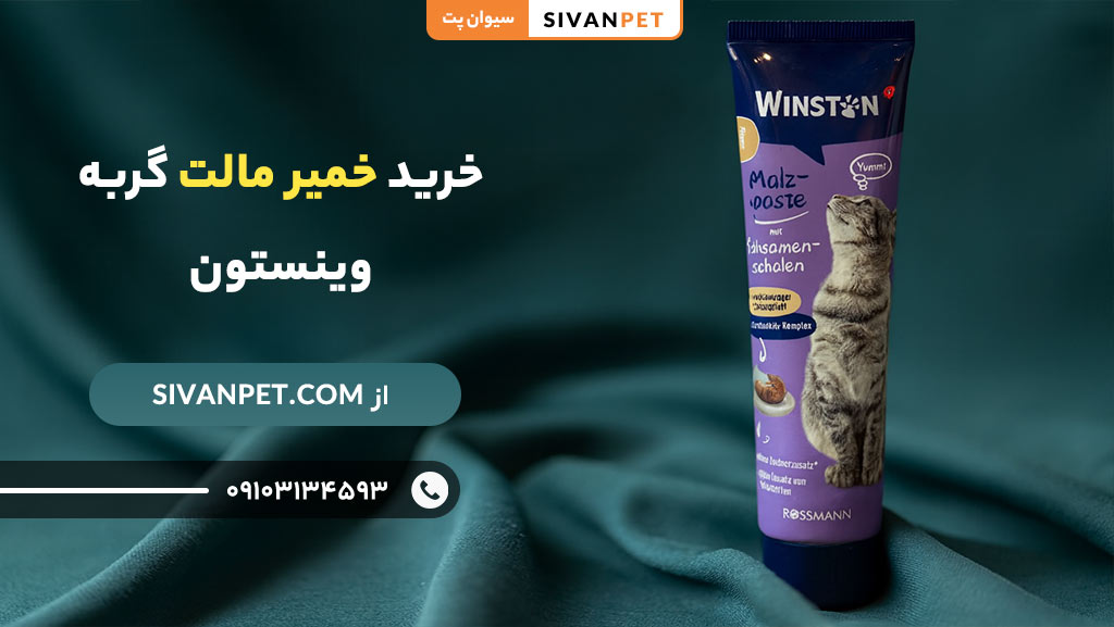مزایای خرید خمیر مالت گربه وینستون