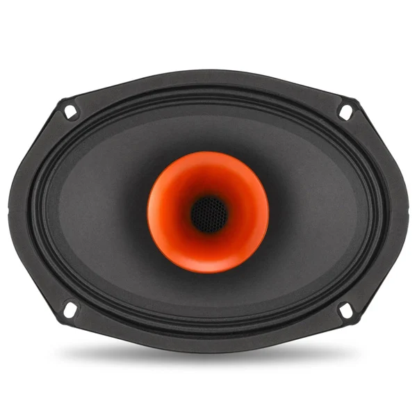 باند (فول رنج/Full-Range Speaker) چیست و چه می&zwnj;کند؟