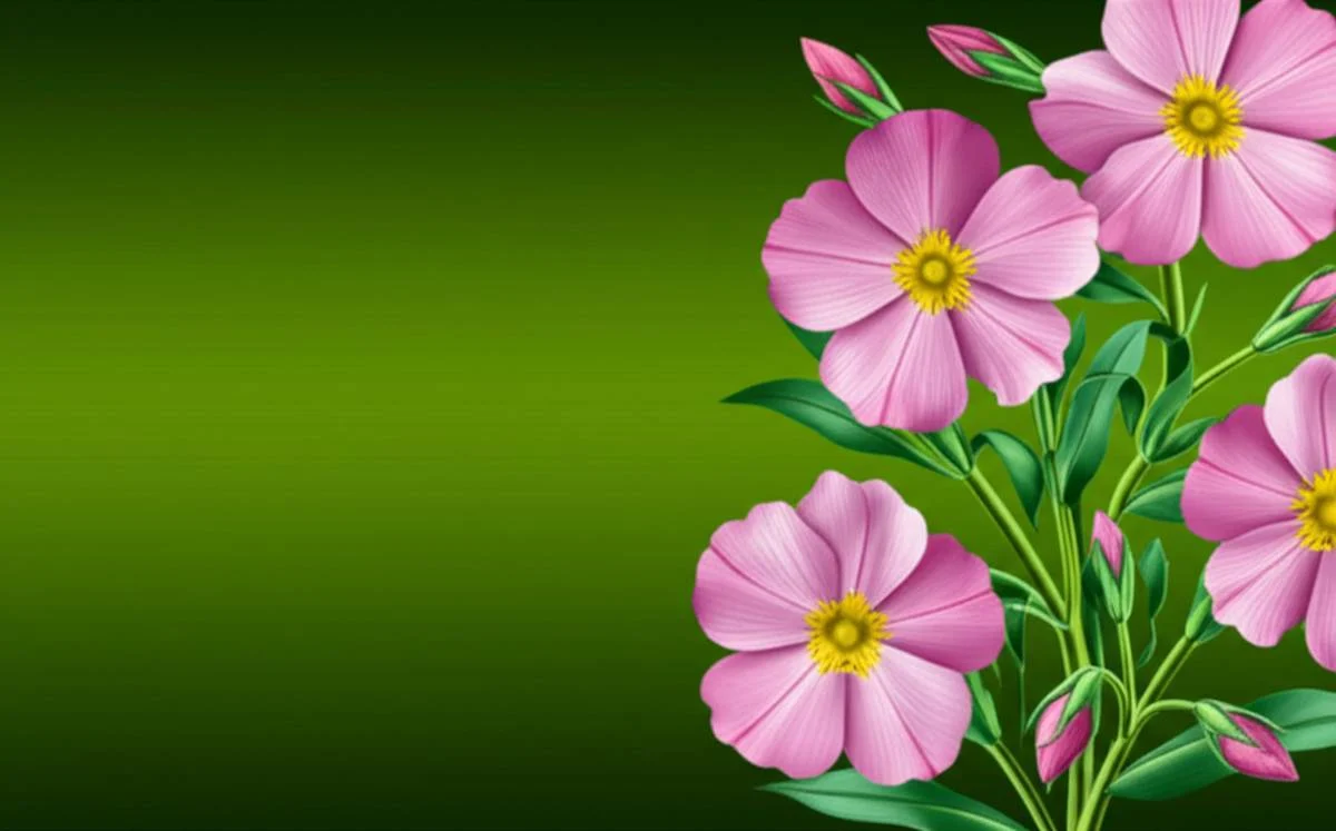 کپسول روغن گل مغربی ای پی اُ باریج | ویژگی ها و فواید